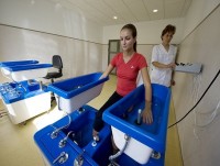 спа - фотогалерея на RCC-TRAVEL.RU спа - фотогалерея на RCC-TRAVEL.RU