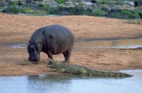 ������� ����� - ����������� �� RCC-TRAVEL.RU