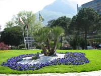 сад - фотогалерея на RCC-TRAVEL.RU сад - фотогалерея на RCC-TRAVEL.RU