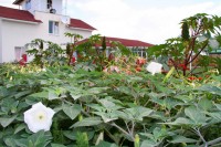 ����� ��� - ����������� �� RCC-TRAVEL.RU