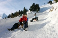 развлечения - фотогалерея на RCC-TRAVEL.RU развлечения - фотогалерея на RCC-TRAVEL.RU
