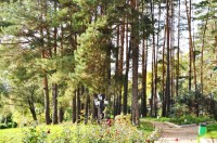  -   RCC-TRAVEL.RU