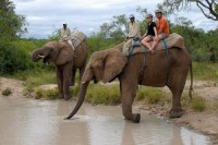  -   RCC-TRAVEL.RU