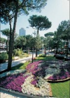���������� ����� - ����������� �� RCC-TRAVEL.RU