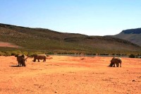 природа - фотогалерея на RCC-TRAVEL.RU природа - фотогалерея на RCC-TRAVEL.RU