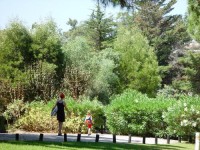 ��� - ����������� �� RCC-TRAVEL.RU