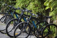 велосипеды - фотогалерея на RCC-TRAVEL.RU велосипеды - фотогалерея на RCC-TRAVEL.RU