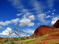 ��� - ����������� �� RCC-TRAVEL.RU