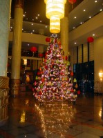  -   RCC-TRAVEL.RU