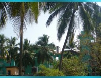 вид - фотогалерея на RCC-TRAVEL.RU вид - фотогалерея на RCC-TRAVEL.RU