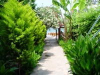   -   RCC-TRAVEL.RU