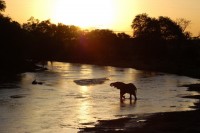 ����� ��� - ����������� �� RCC-TRAVEL.RU