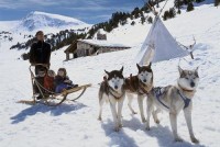  -   RCC-TRAVEL.RU