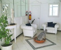 Лобби - фотогалерея на RCC-TRAVEL.RU Лобби - фотогалерея на RCC-TRAVEL.RU