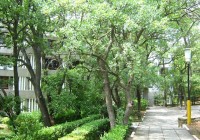 ���������� - ����������� �� RCC-TRAVEL.RU