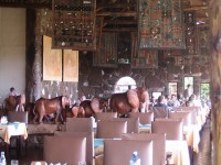 столовая - фотогалерея на RCC-TRAVEL.RU столовая - фотогалерея на RCC-TRAVEL.RU