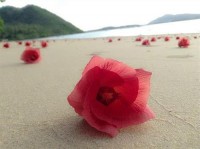 пляж - фотогалерея на RCC-TRAVEL.RU пляж - фотогалерея на RCC-TRAVEL.RU
