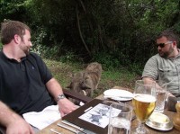 территория - фотогалерея на RCC-TRAVEL.RU территория - фотогалерея на RCC-TRAVEL.RU