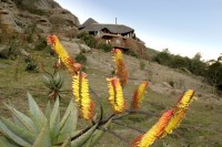 ��� - ����������� �� RCC-TRAVEL.RU