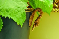 вид - фотогалерея на RCC-TRAVEL.RU вид - фотогалерея на RCC-TRAVEL.RU