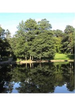 ������� - ����������� �� RCC-TRAVEL.RU