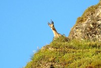 ������� - ����������� �� RCC-TRAVEL.RU