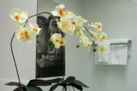 ������� - ����������� �� RCC-TRAVEL.RU