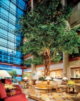 Холл - фотогалерея на RCC-TRAVEL.RU Холл - фотогалерея на RCC-TRAVEL.RU