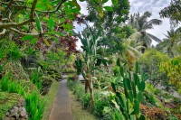 территория отеля - фотогалерея на RCC-TRAVEL.RU территория отеля - фотогалерея на RCC-TRAVEL.RU