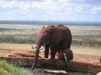 ������� ����� - ����������� �� RCC-TRAVEL.RU