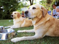 вид - фотогалерея на RCC-TRAVEL.RU вид - фотогалерея на RCC-TRAVEL.RU