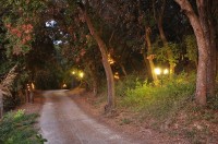 территория отеля - фотогалерея на RCC-TRAVEL.RU территория отеля - фотогалерея на RCC-TRAVEL.RU