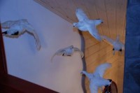 ��� - ����������� �� RCC-TRAVEL.RU