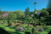 сад - фотогалерея на RCC-TRAVEL.RU сад - фотогалерея на RCC-TRAVEL.RU