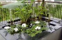 ��� - ����������� �� RCC-TRAVEL.RU