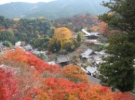   ,  -   RCC-TRAVEL.RU