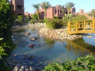   5* -   RCC-TRAVEL.RU